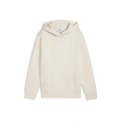Abbildung von PUMA Kapuzensweatshirt »ESS SCRIPT HOODIE FL G«