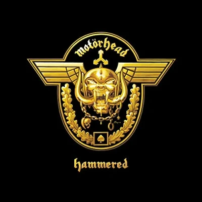 Abbildung von Hammered [Vinyl LP]
