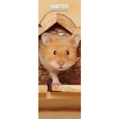 Abbildung von Hamsters Kalender 2025, schmaler
