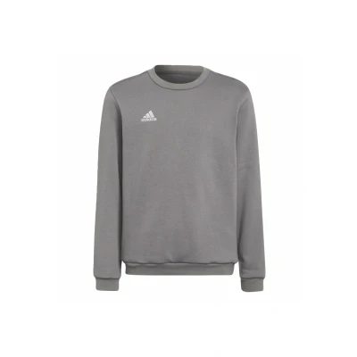 Abbildung von adidas Unisex Kinder Entrada 22 Sweat Top, Team Grey Four, 9 10 Years