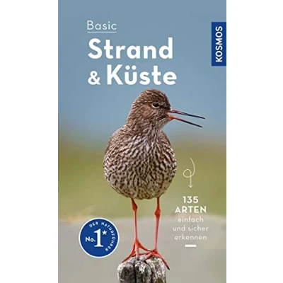 Abbildung von Basic Strand und Küste: einfach sicher erkennen