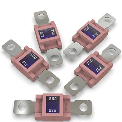 Abbildung von AUPROTEC Mega Hochstromsicherung Schraubsicherung 80A 500A Auswahl: 250A Ampere rosa, 5 Stück