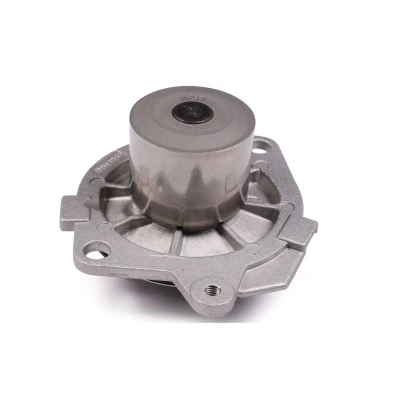 Abbildung von Wasserpumpe HEPU P1055