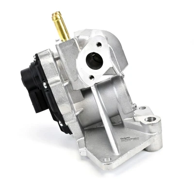Abbildung von DELPHI EG10424 12B1 AGR Ventil mit Dichtungen VOLKSWAGEN: Passat B6 Variant, Golf 5, Touran I, SKODA: Octavia 2 Combi, II Hatchback