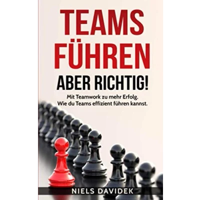 Abbildung von Teams führen aber richtig!: Mit Teamwork zu mehr Erfolg. Wie du effizient kannst.