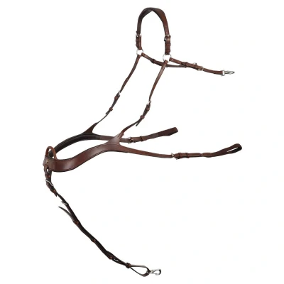 Abbildung von BR Vorderzeug Heywood Anatomisch Oak/Silber Warmblut