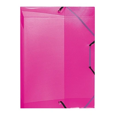 Abbildung von Herlitz 10722510 Heftbox A4 PP transluzent Rückenbreite 4 cm, himbeer