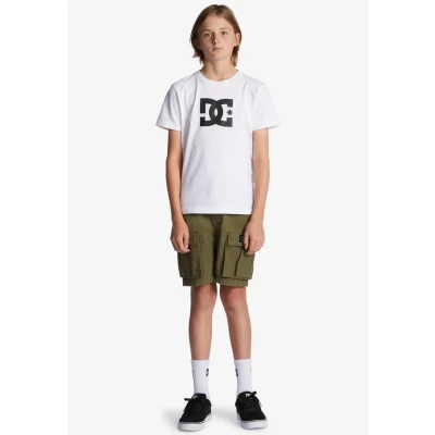 Abbildung von DC Shoes Tundra Shorts für Kinder, Größe: 134/140, Ivy green