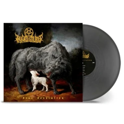 Abbildung von Dear Desolation(Silver Vinyl in Gatefold) [Vinyl LP]