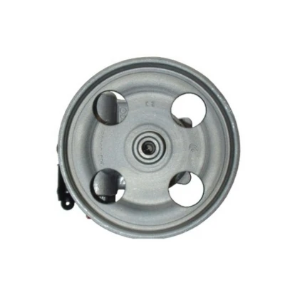 Abbildung von SPIDAN 54181 Hydraulikpumpe hydraulisch 100bar 6 126mm PEUGEOT: 807 MPV, 406 Estate