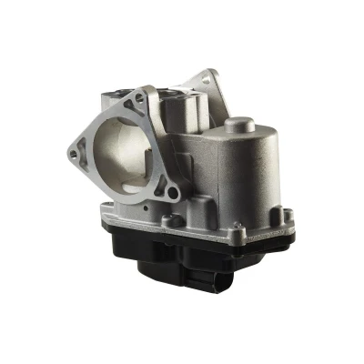 Abbildung von HELLA 6NU 010 171 801 AGR Ventil elektrisch mit Dichtung VOLKSWAGEN: GOLF 6, Passat B6 Variant, Tiguan I, AUDI: A6 C6 Avant, A4 B8 A3 Sportback