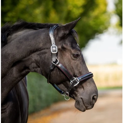 Abbildung von HB Halfter Glitty Schwarz/Burgund Pony Agradi.deVerkauft von Agradi