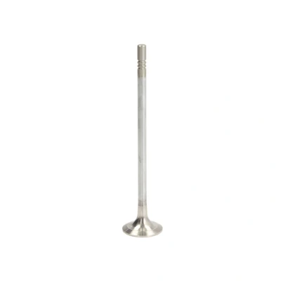 Abbildung von FRECCIA R6838/RCR Auslaßventil 23,5 Ventilschaft verchromt SEAT: Ibiza 4 Sportcoupe, VOLKSWAGEN: Polo V Hatchback