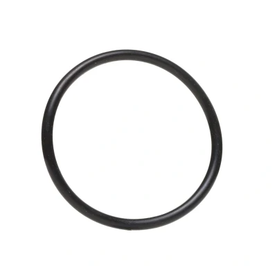 Abbildung von FEBI BILSTEIN 18774 Dichtung, Thermostat VOLKSWAGEN: GOLF 2, Polo II Coupe