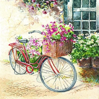 Abbildung von 20 Servietten Flowerbike Blumenfahrrad/Blumen/Fahrrad/Vintage 33x33cm