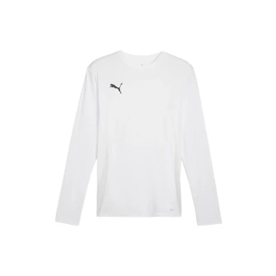 Abbildung von PUMA teamGOAL LS Jersey