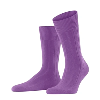 Abbildung von FALKE Herren Lhasa Rib M SO Wolle Kaschmir einfarbig 1 Paar Socken, Lila (Pink Iris 8943) neu umweltfreundlich, 39 42
