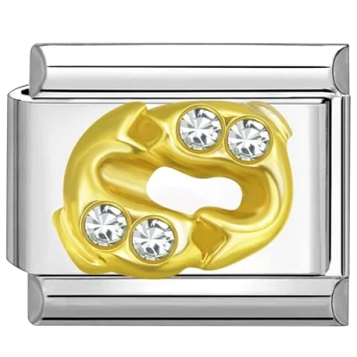 Abbildung von Quiges 9mm Italian Style Charm Modul Edelstahl Zirkonia Horoskop Fische für Italienische Armbänder