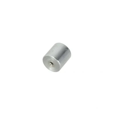 Abbildung von Kolben, Common Rail System Pumpe BOSCH F 00R 0P0 182
