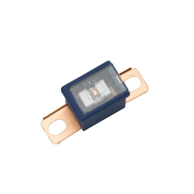 Abbildung von HELLA Sicherung PAL Blocksicherung Serie1 100A blau Menge: 1 8JS 740 026 561