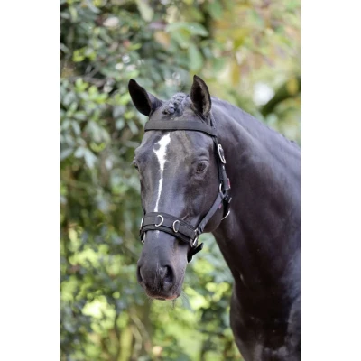 Abbildung von Kerbl Longierhalfter Kunststoff Schwarz Warmblut