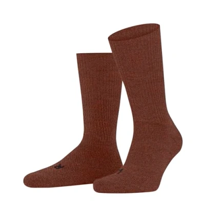 Abbildung von FALKE Unisex Socken Walkie Ergo U So Wolle Funktionsmaterial einfarbig 1 Paar, Braun Terra 8829, 37 38
