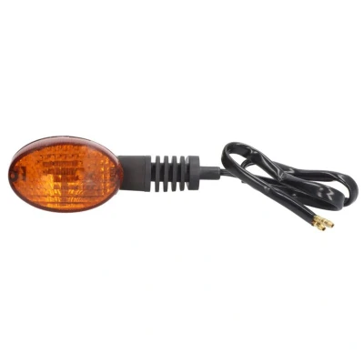 Abbildung von VICMA 7580 Blinker vorne links, hinten rechts mit Blinklicht