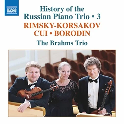 Abbildung von History of the Russian Piano Trio,Vol.3