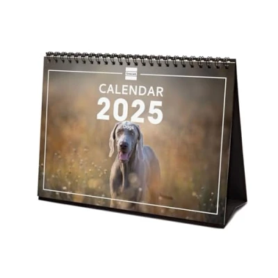 Abbildung von Finocam Bebilderter Tischkalender International 2025 Monatsansicht Januar bis Dezember (12 Monate) Dogs