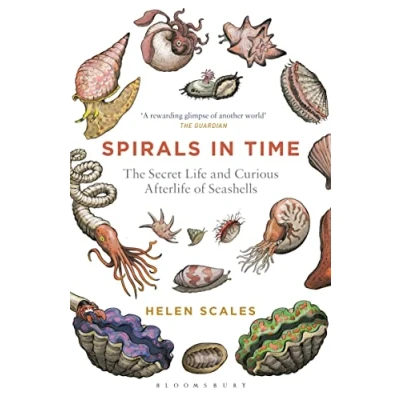 Abbildung von Spirals in Time: The Secret Life and Curious Afterlife of Seashells