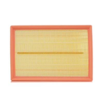 Abbildung von FILTRON AP 074/9 Luftfilter 50 162 239 Filtereinsatz FORD: C Max 2, Tourneo Connect / Grand V408 Estate, Transit Van