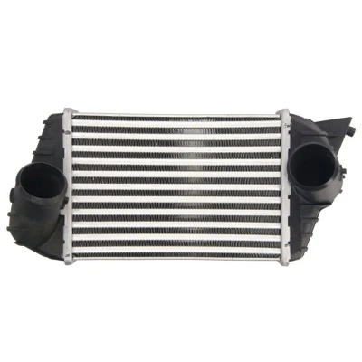 Abbildung von THERMOTEC DAF009TT Ladeluftkühler