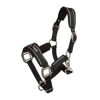 Abbildung von Back on Track Halfter Werano Schwarz/Reflective Pony