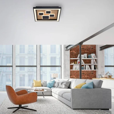 Abbildung von Paul Neuhaus LED Deckenleuchte »ELIZA«, 2 flammig, Leuchtmittel Board fest integriert