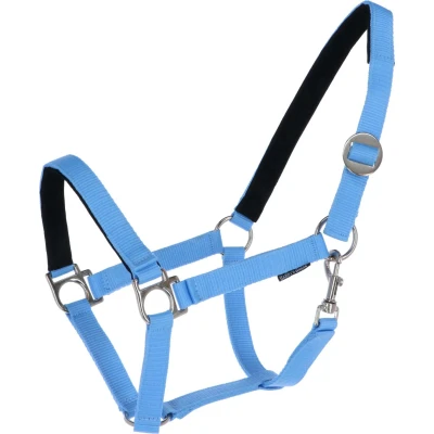 Abbildung von Harry&#039;s Horse Halfter Unterlegt Hellblau Pony