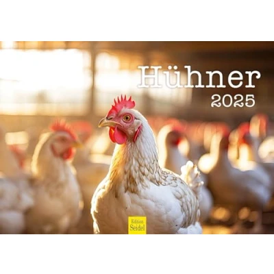 Abbildung von Edition Seidel Premium Kalender Hühner 2025 Format DIN A3 Wandkalender Tierkalender Hühnerkalender Haustiere Huhn Hahn Kücken Vögel