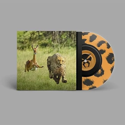 Abbildung von No More Lies (Ltd One Sided Coloured 7inch) [Vinyl Single]
