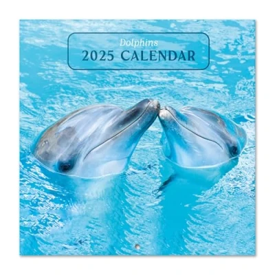 Abbildung von Grupo Erik Kalender 2025 Wandkalender Delphine Familienplaner 30 x cm Jahreskalender 12 Monate