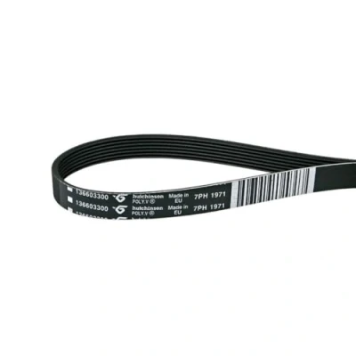 Abbildung von Riemen Keilrippenriemen Rippenband für Trockner H7 1971 mm 1971PH7 14005625401