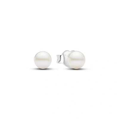 Abbildung von PANDORA Timeless Behandelte 4,5 mm Süßwasserzuchtperle Ohrstecker aus Sterling Silber, 293168C01
