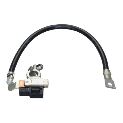 Abbildung von HELLA 6PK 010 562 931 Sensor, Batteriemanagement