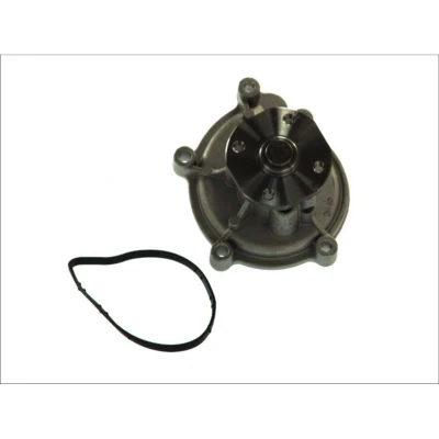Abbildung von THERMOTEC D1M051TT Wasserpumpe mit Dichtung mechanisch MERCEDES BENZ: A Class, B MITSUBISHI: COLT 6