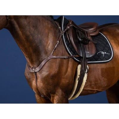 Abbildung von Dyon Anatomical Breastplate US Jumping Collection