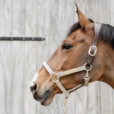 Abbildung von Kentucky Halfter Anatomic Nylon Beige Warmblut