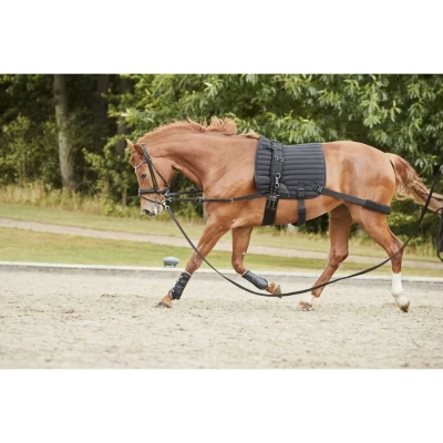 Abbildung von Catago Schabracke Hybrid Training Dressur Schwarz Warmblut