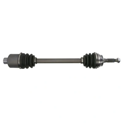 Abbildung von Antriebswelle PASCAL G2R011PC