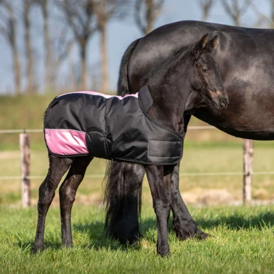 Abbildung von Harry&#039;s Horse Fohlendecke TwoTone Schwarz 65