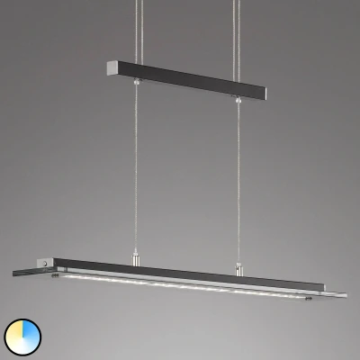 Abbildung von Fischer&amp;Honsel Tenso TW Pendelleuchte, Metall, 20 W, sandschwarz