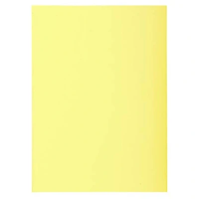 Abbildung von Exacompta 850005E Aktendeckel Packung (22 x 31cm, ideal zum Schutz Ihre Dokumente in Format DIN A4, 21 29,7 cm) 250er Pack gelb