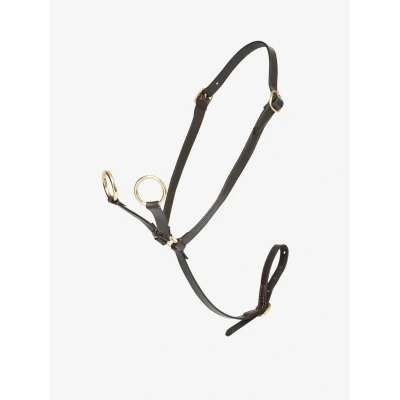 Abbildung von LeMieux Martingal Toy Pony Braun